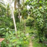Gopal Homestay Udupi